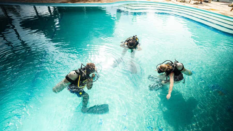 Zanzibar 1 Day Scuba Diving Course for Beginners with Lunch - Lunch, fruit, and a sensible break