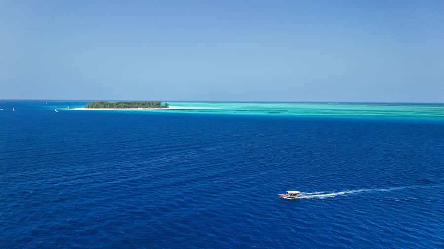 Zanzibar 1 Day Scuba Diving Course for Beginners with Lunch - What the $200 price includes